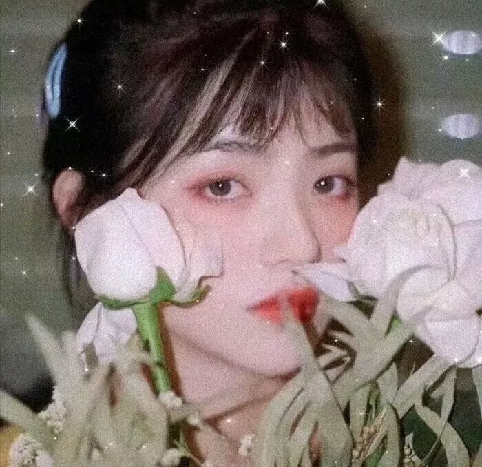 连理枝粤语